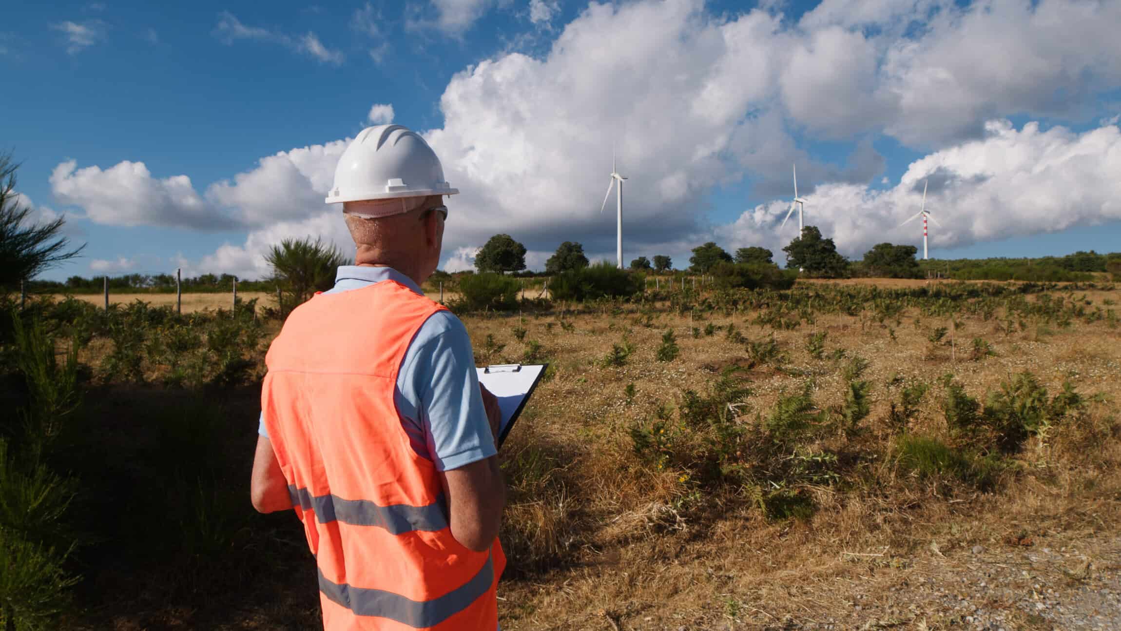 Engineer in a hard hat and safety vest inspecting wind turbines in a rural field.