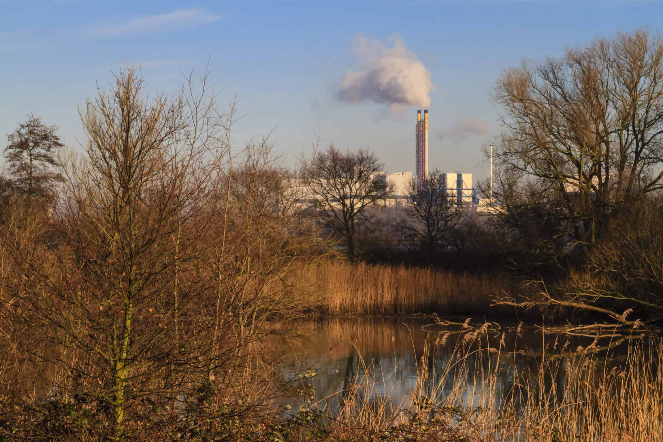 Industrial facility near a wetland, illustrating environmental due diligence considerations